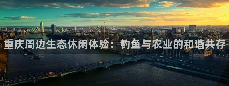 天辰娱乐输了