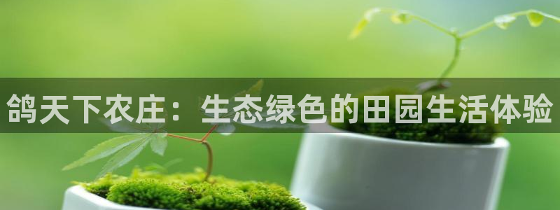 天富天辰娱乐