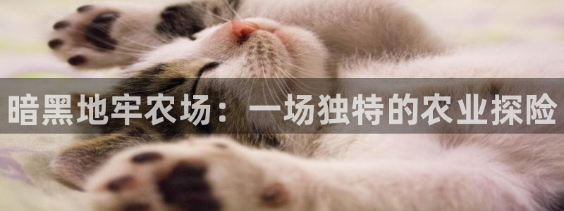 天辰说娱乐