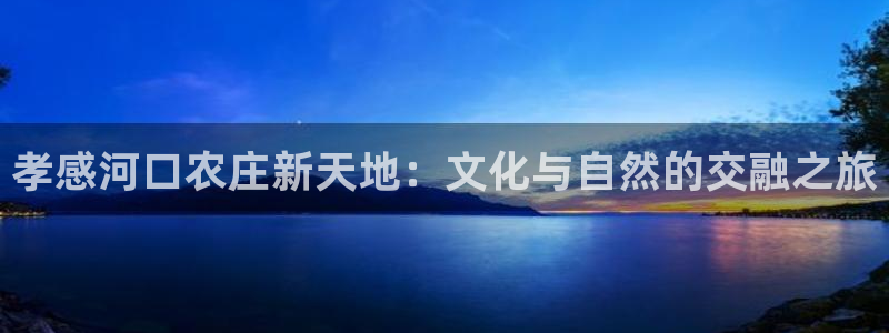 天辰娱乐728567