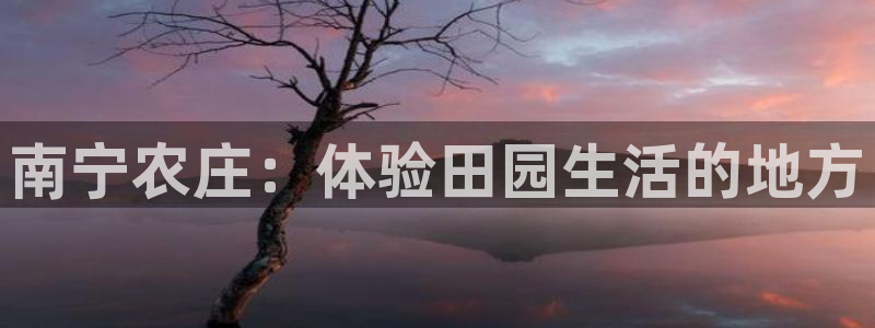 天辰娱乐885544