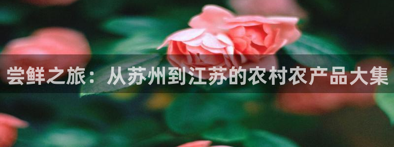 天辰娱乐下载