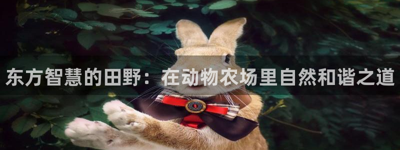 天辰水娱乐