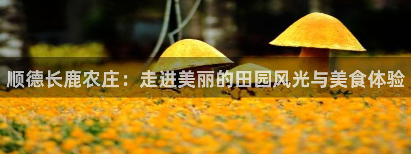 天辰娱乐反水