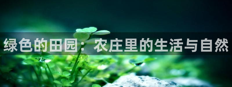 天辰娱乐下载链接