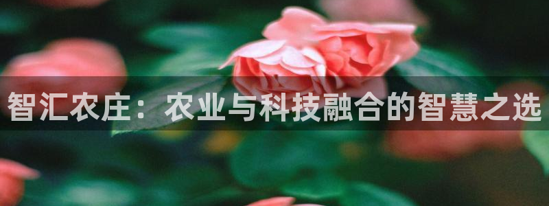 天辰娱乐 849852