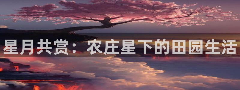 天辰娱乐黑人