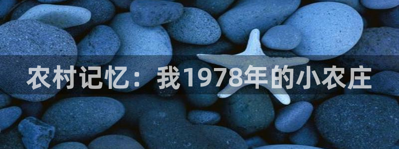 天辰娱乐39974神