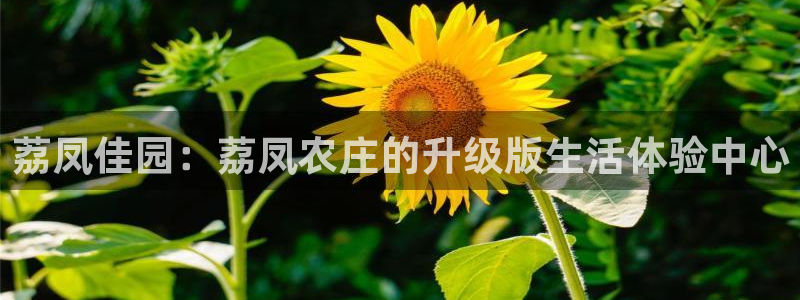 天辰天富娱乐