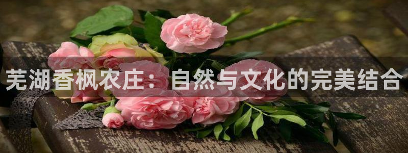 天辰娱乐会所