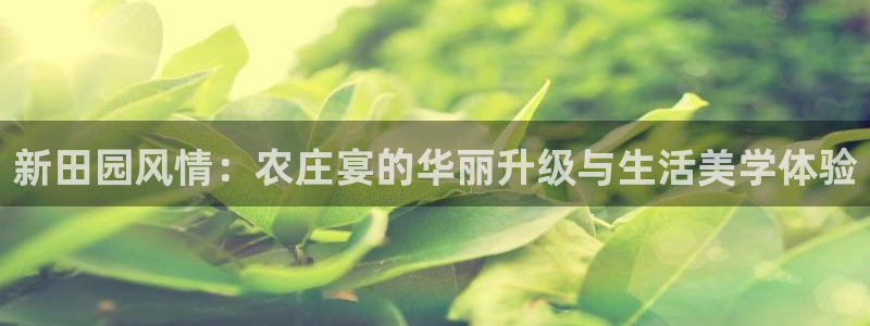 天辰天辰娱乐