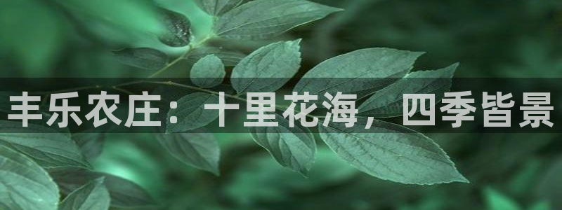 天辰娱乐首页