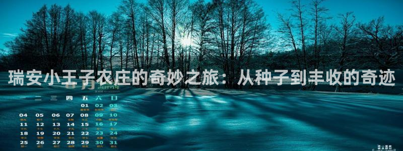 深圳天辰娱乐