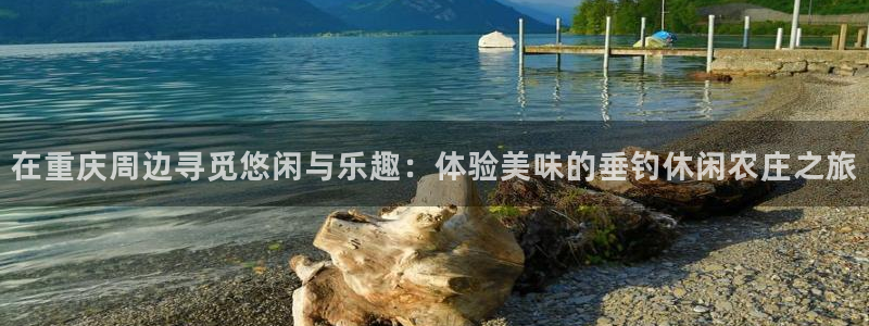 天辰娱乐游客