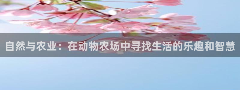 天辰娱乐app