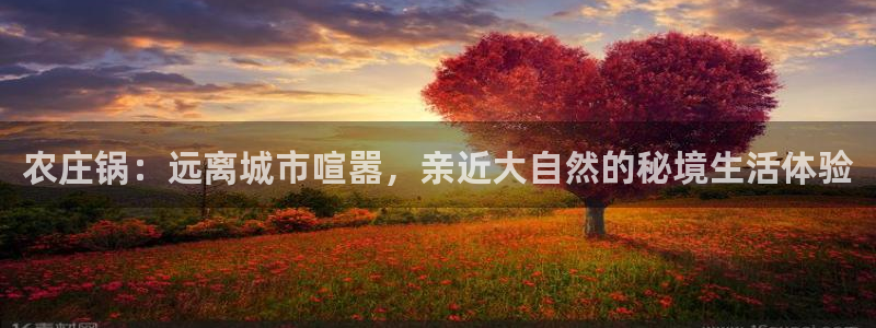 天辰娱乐鱼刺