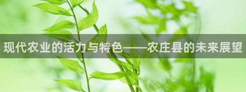 天辰线上娱乐