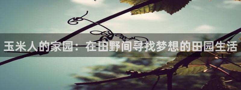 天辰娱乐挂机