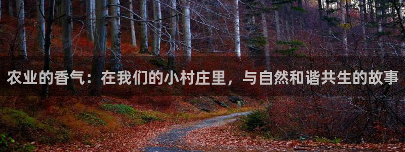 天辰平台娱乐