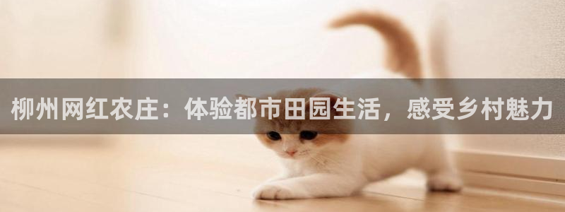 天辰娱乐 天辰平台