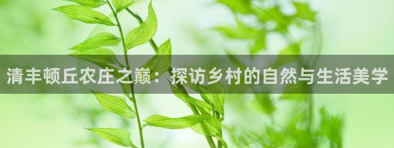 天辰登陆娱乐
