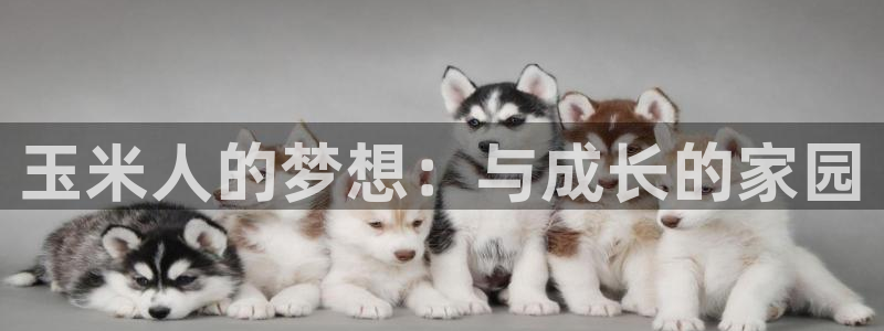 菲律宾天辰娱乐