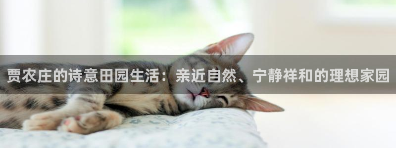 天辰线上娱乐