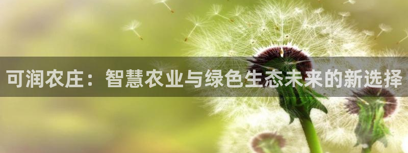 天辰娱乐_ 18113