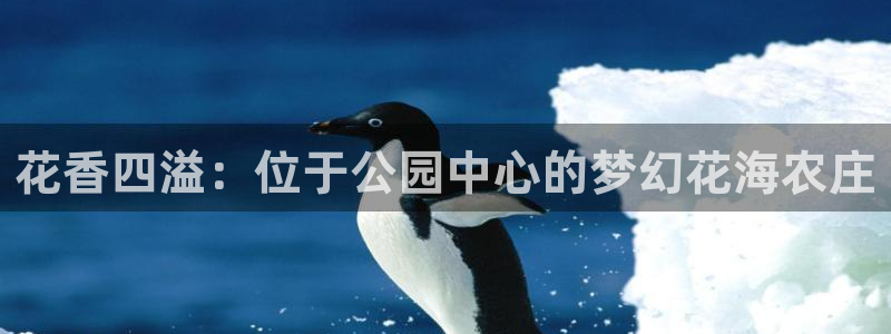 天辰娱乐内部