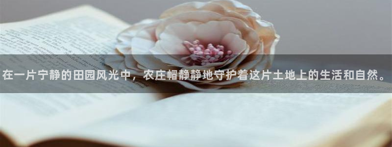天辰a娱乐