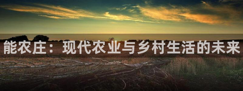 天辰娱乐天辰宝