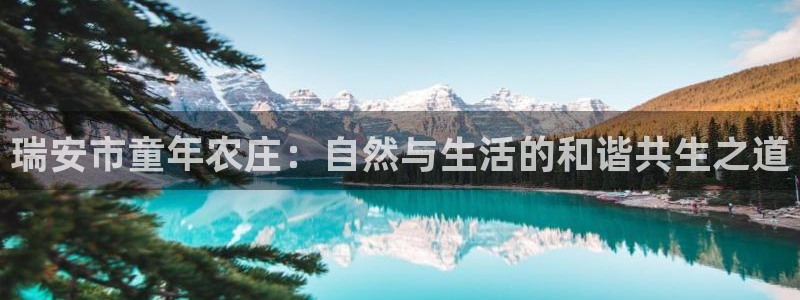 天辰臣娱乐