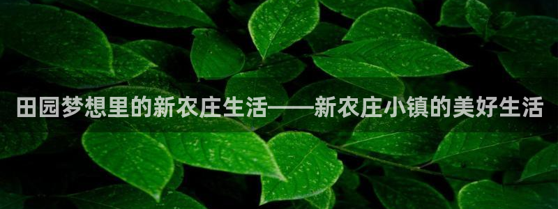 天辰平台娱乐