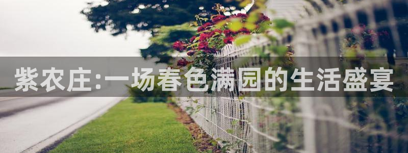 天辰娱乐赌博