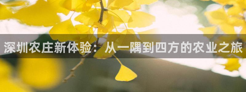 天辰娱乐登录测试