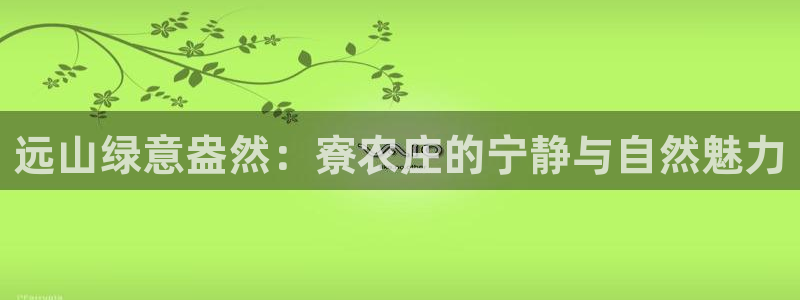 天辰娱乐平台地址