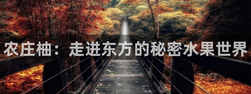 天辰娱乐怎么样