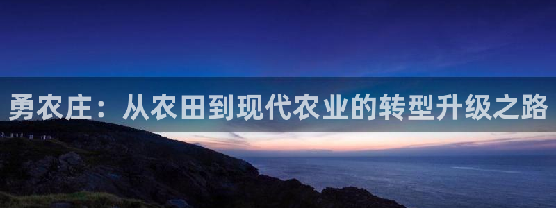nba天辰娱乐