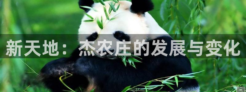 天辰娱乐代理