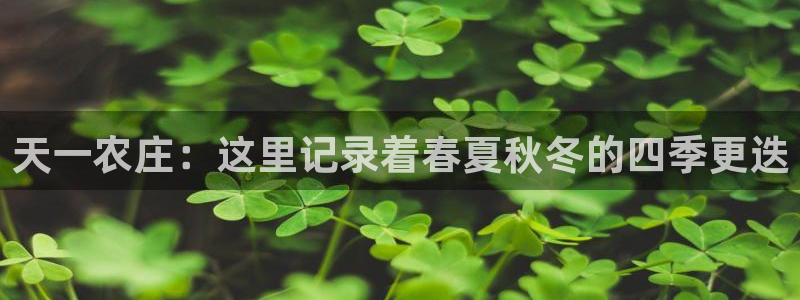 天辰娱乐平台靠谱么