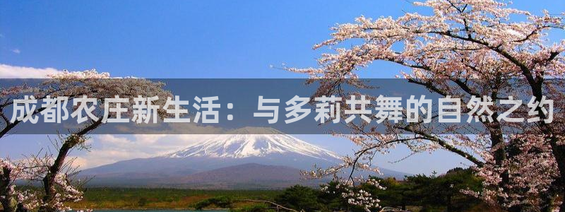 天辰娱乐说