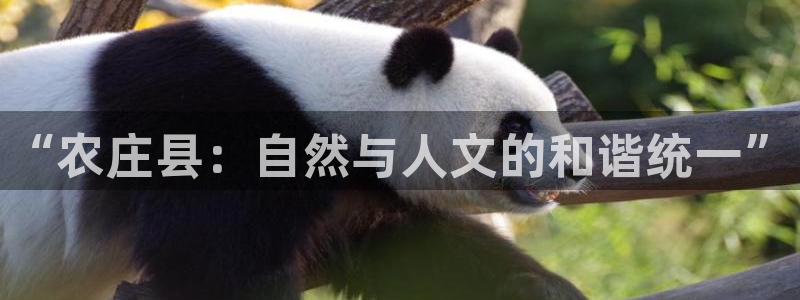 天辰娱乐481928