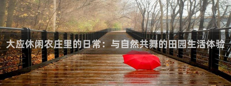 天辰娱乐路线