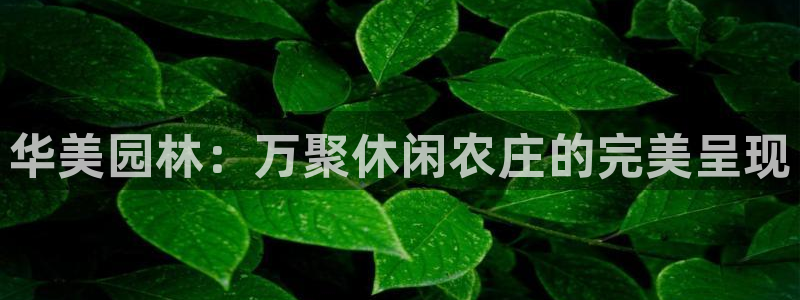 天辰娱乐 18113