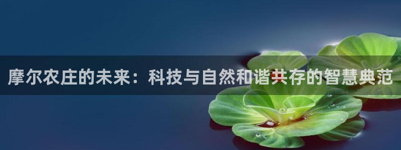天辰天富娱乐
