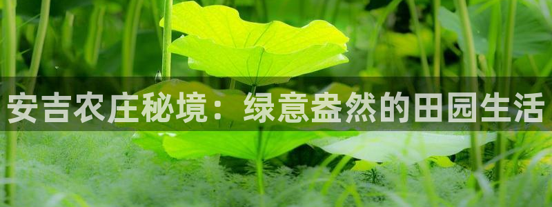 天辰娱乐天辰宝