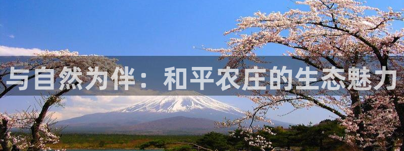 天辰娱乐tff