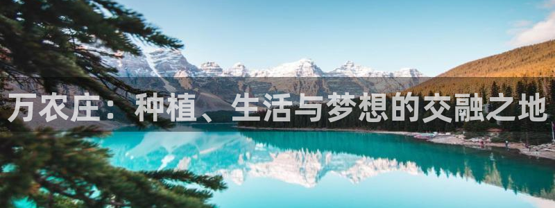 天辰娱乐小姐