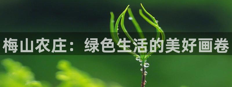 天辰娱乐注册登录