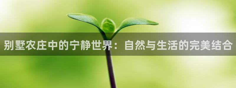 天辰娱乐招商